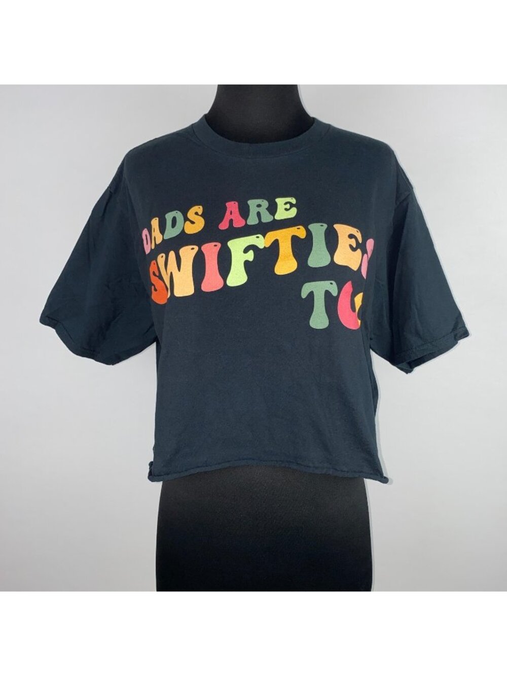 Dads Are Swifties Too Crop T-Shirt Size L Colorful Graphic Taylor Swift Concert